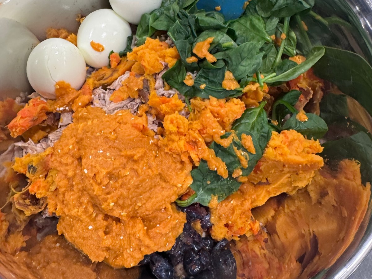 🐾 What’s Really in Your Dog’s Bowl? (Golden Paws Chicken & Sweet Potato Ingredient&nbsp;Breakdown)